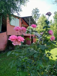 un grupo de rosas rosas frente a una casa en Ruca Hueney en Tigre