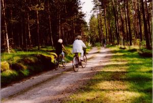 two people riding bikes down a dirt road at Kleine Auszeit - Natur und Erholung in Mecklenburg in Reimershagen