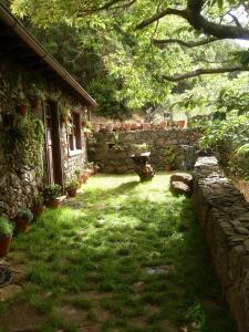 um quintal com uma parede de pedra e uma casa em CASA MARY LOLA em Tiñor