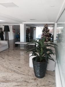 a potted plant in a lobby with a christmas tree at Gold Flat Cabo Branco in João Pessoa +229 photos