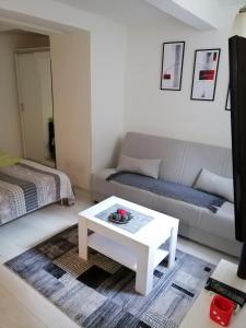 een woonkamer met een bank en een salontafel bij Studio Apartman KOCKA in Belgrado