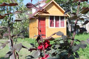 Aed väljaspool majutusasutust Elbasan Backpacker Hostel