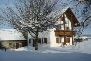 un arbre dans la neige devant une maison dans l'établissement Ferienwohnungen Reitinger, à Tiefenbach