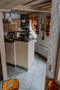 cocina con encimera en una habitación en Ferienhaus Schreinert en Breitenbrunn