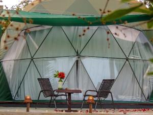 Gallery image of Glamping Serra da Canastra - Casinha de Hortelã - Domo Jaboticaba in Delfinópolis