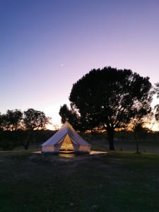 uma tenda branca num campo com uma árvore em Direction South em Montargil