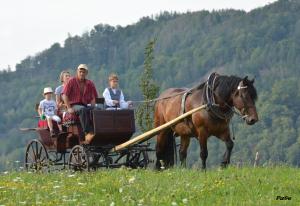 un groupe de personnes voyageant en calèche tirée par des chevaux dans l'établissement Vodní mlýn Wesselsky, à Odry