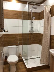 een badkamer met een toilet en een glazen douche bij Nowoczesny pokój w spokojnej okolicy in Chełmno