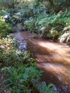 Příroda nedaleko chaty