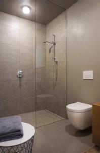 y baño con ducha de cristal y aseo. en Design Ferienwohnung nienrausch Apartment 2 en Timmendorfer Strand