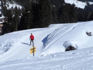 גלישת סקי במלון או בסביבה