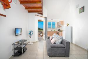 ein Wohnzimmer mit einem Sofa und einer Küche in der Unterkunft SCI DRELA in La Trinité