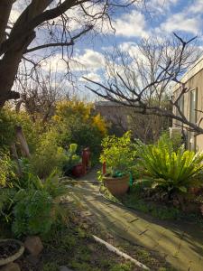 a garden with plants and a walkway at At the Gallery in Torquay