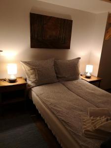 耶連納古拉–亞紐古的住宿－Leśniczówka，一间卧室配有一张带两张台灯的床铺。