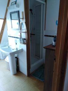 uma casa de banho com um WC, um lavatório e um chuveiro em au petit bonheur em Putanges