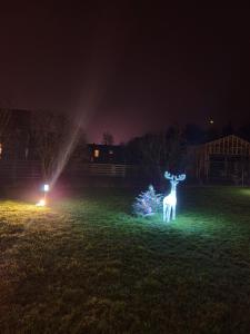 a lighted reindeer in a field at night at Holiday Home Ermine in Sigulda