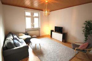 a living room with a couch and a tv at Charmante Wohnung ruhig und zentral gelegen in Mannheim