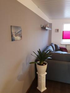 a living room with a couch and a plant at Apartment nahe Erfurt in Gebesee