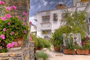 a group of potted plants in front of a building at Seva' s Studios in Livadia