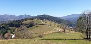 Przyroda w pobliżu tego obiektu B&B