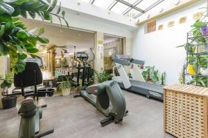 Fitness centrum a/nebo fitness zařízení v ubytování Hotel Aurum