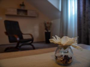 Fotografie z fotogalerie ubytování Hotel Pizzeria Istria ve Velkých Losinách