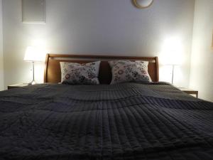 1 dormitorio con 1 cama con almohadas y 2 lámparas en Krähenberg am Rande der Wildnis, en Sibratsgfäll