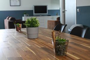 dois vasos de plantas sentados em cima de uma mesa de madeira em B&B Manege Groenewoude em Woudenberg