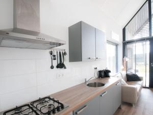 Küche/Küchenzeile in der Unterkunft Holiday Home Oesterdam Resort-7