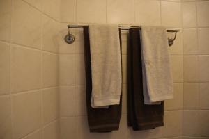 a bathroom with three towels hanging on a shower at Gastenverblijf Eenink in Zelhem
