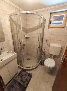 a bathroom with a shower and a toilet and a sink at Brvnara 23 minimum 2 noći in Kaludjerske Bare