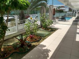 uma fila de plantas num pátio com piscina em Lindo ap, mobiliado na praia do Novo Campeche em Florianópolis