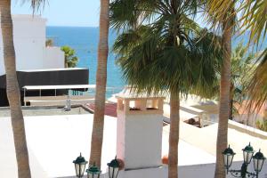 アルブフェイラにあるPassport Algarve Apartmentsのヤシの木が植わるビーチからの海の景色