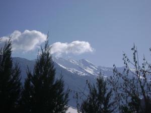 a snow covered mountain with trees in the foreground at fleur de neige in Gilly-sur-Isère