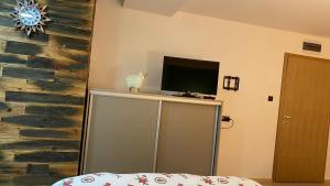 TV i/ili multimedijalni sistem u objektu Alexandar studio apartman