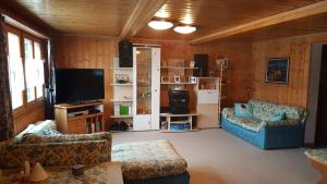 TV a/nebo společenská místnost v ubytování Walser Chalet Casa Paterna