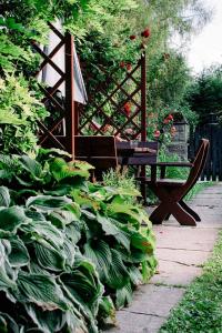 ズウォティ・ストクにあるStaszica16のギャラリーの写真