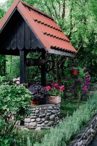 ズウォティ・ストクにあるStaszica16のギャラリーの写真