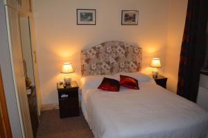 a bedroom with a bed with two red pillows on it at Weir view Bed and Breakfast in Durrow