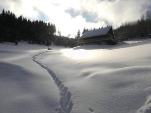 Chata Čerenka during the winter