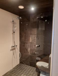 uma casa de banho com um chuveiro, um WC e uma porta de vidro. em Louhi A em Äkäslompolo