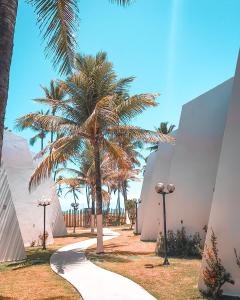 uma palmeira num passeio ao lado de um edifício em Pitaya Beach House - Charming Village By the Sea em Salvador