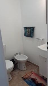 La salle de bains blanche est pourvue de toilettes et d'un lavabo. dans l'établissement DEPARTAMENTOS SAAVEDRA dto 3 y 4, à Viedma