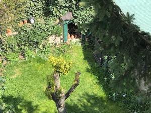 an overhead view of a garden with a tree branch at JAZZAPPART appartement classé 3 étoiles in Gentilly