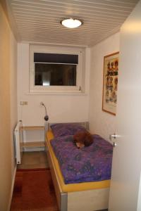 a bedroom with a bed with a cat sleeping on it at Ferienwohnung Am Heidelberg in Blankenburg