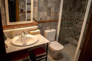a bathroom with a sink and a toilet and a shower at Casa Rural Castil de Cabras in San Miguel de Valero