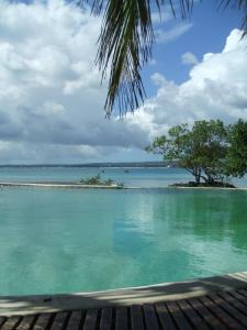 a view of a body of water with a beach at Chapwani Private Island in Grave Island