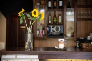 Pub eller bar på Atrium Agárd Panzió