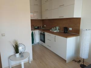 A kitchen or kitchenette at Emerald Buddha Apartment
