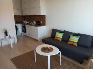 a living room with a couch and a table at Emerald Buddha Apartment in Bansko